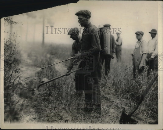 1925 Press Photo Fighting fire by spraying chemicals and digging gaps. - Historic Images
