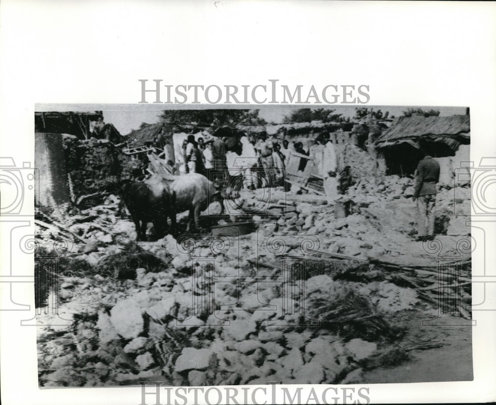 1971 Press Photo 2 Buffalo stand in debris after Indian planes raid Karachi - Historic Images