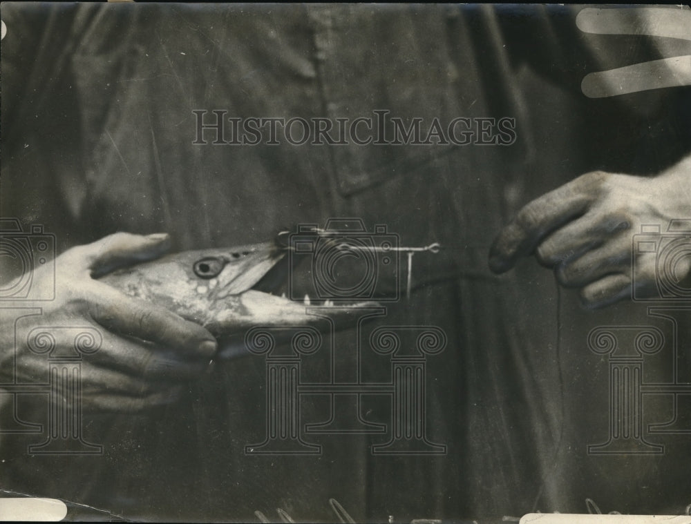 1925 Press Photo Roy Skelton and a fish. - Historic Images