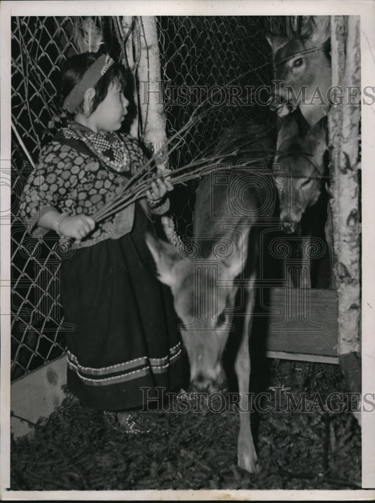 1937 Press Photo Mary Paul & deer triplets in Noca Scotia, Canada - nec46500 - Historic Images