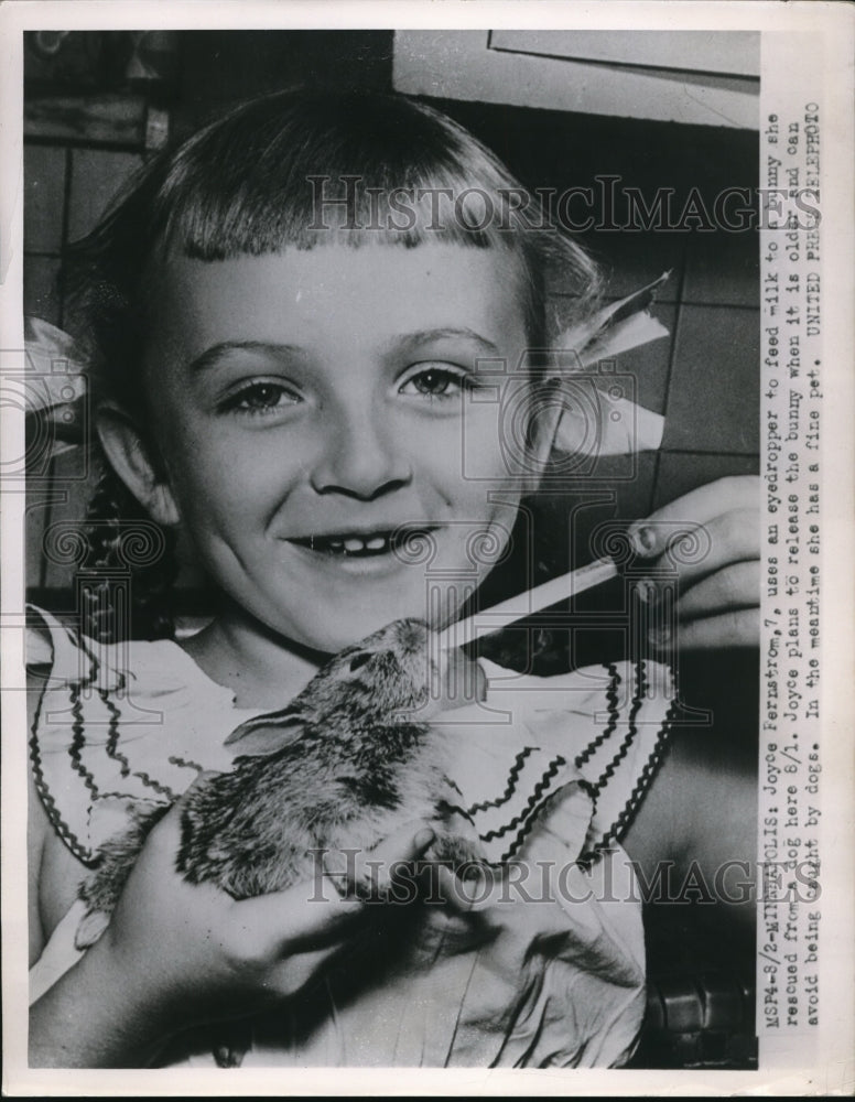 1952 Press Photo Little Girl Joyce Fernstrom Feeds Bunny From Eyedropper Cute - Historic Images