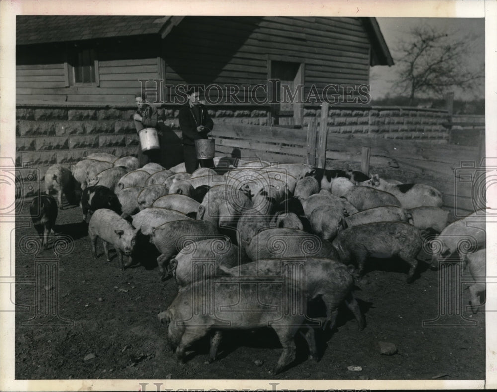 1943 Press Photo catholic children raising pigs. - nec47124 - Historic Images