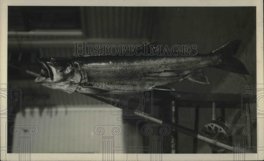 1924 Press Photo Trout Impaled Through Mouth By Fishing Rod Looks Very Dead - Historic Images