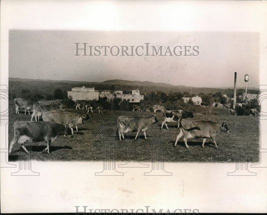 1945 Press Photo With Robert A. Suits' Point Lookup, Mo. - Historic Images