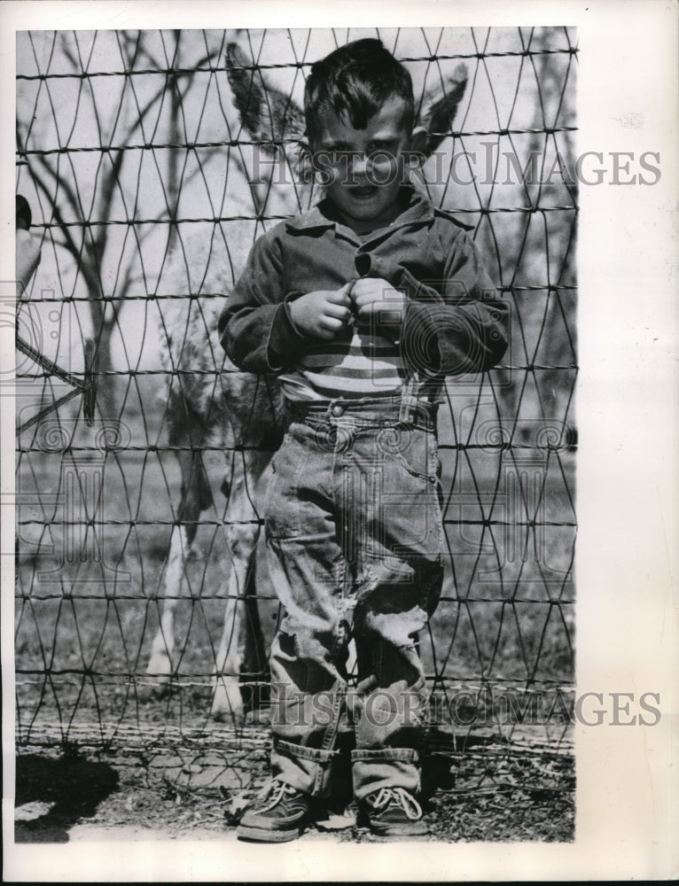 1949 Press Photo Cute Kid Frank Murray Photobombed By Bird At Denver Zoo - Historic Images