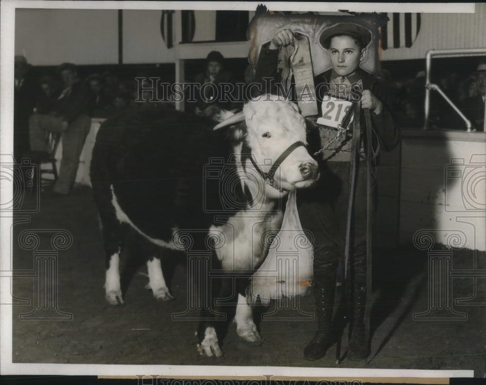 1932 Press Photo Kenneth Zink With Chicago Livestock Winning Baby Hereford Steer - Historic Images