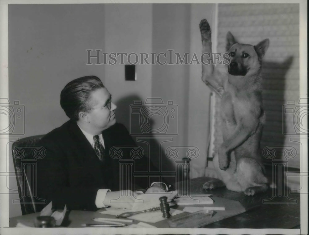 1934 Press Photo Malamute Red Dust &amp; Robert Wellman at La, Calif court - Historic Images