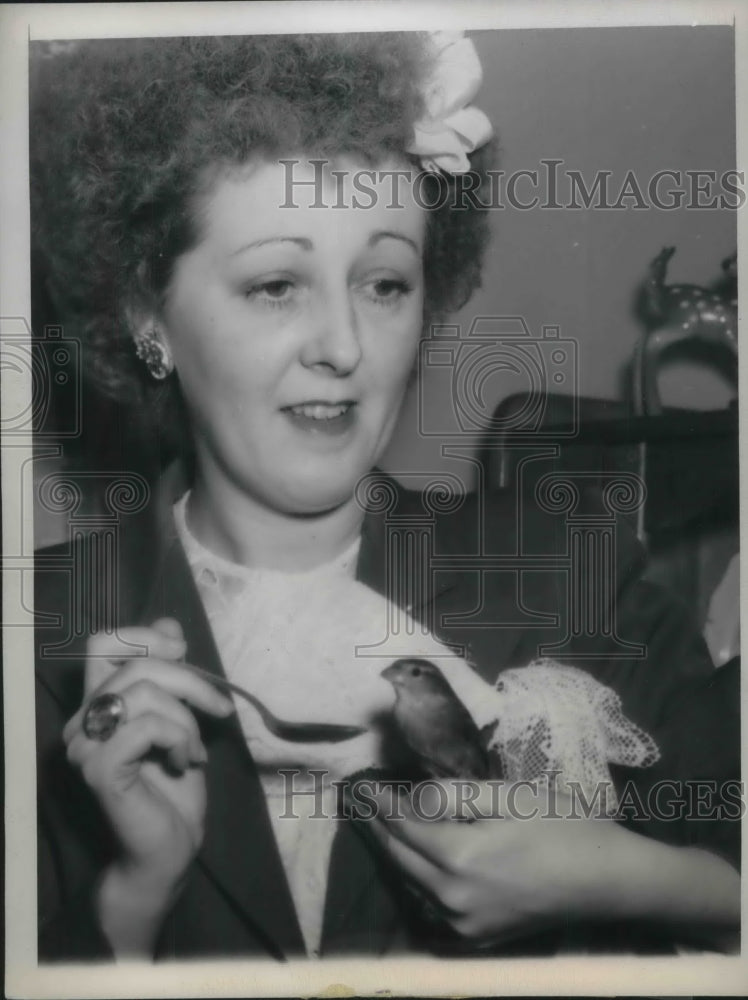 1947 Press Photo Sparrow Bird Murphy Gets Supper From Human Mother Erma Orr-Historic Images