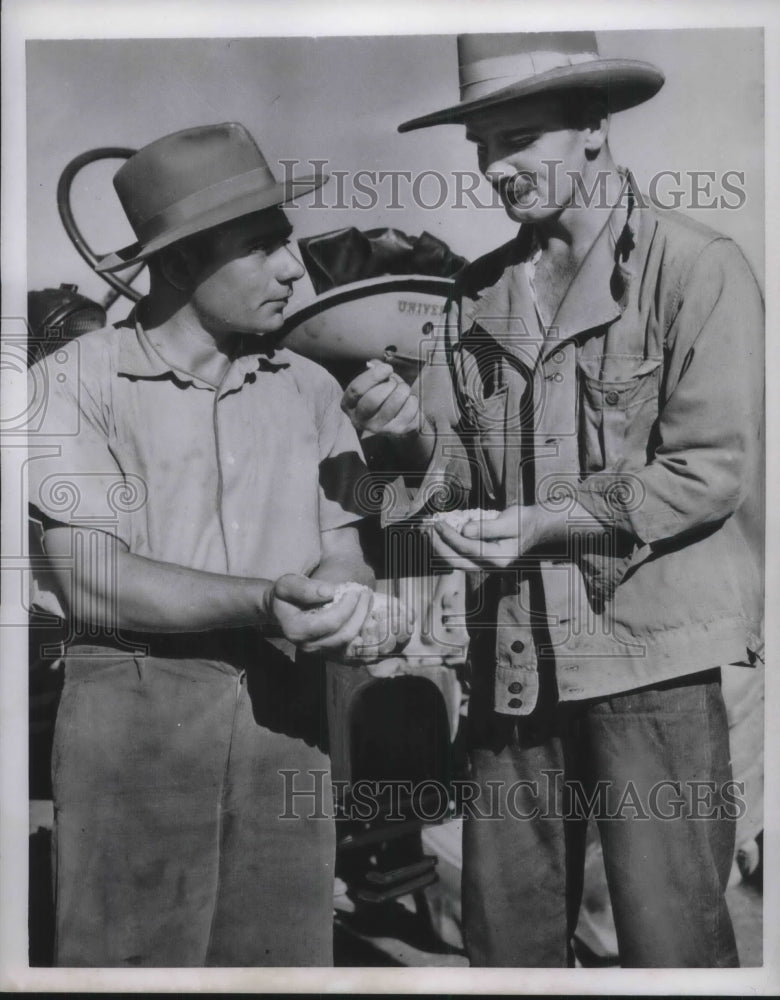 1952 Press Photo Immigrant Farmers in Venezuela - Historic Images