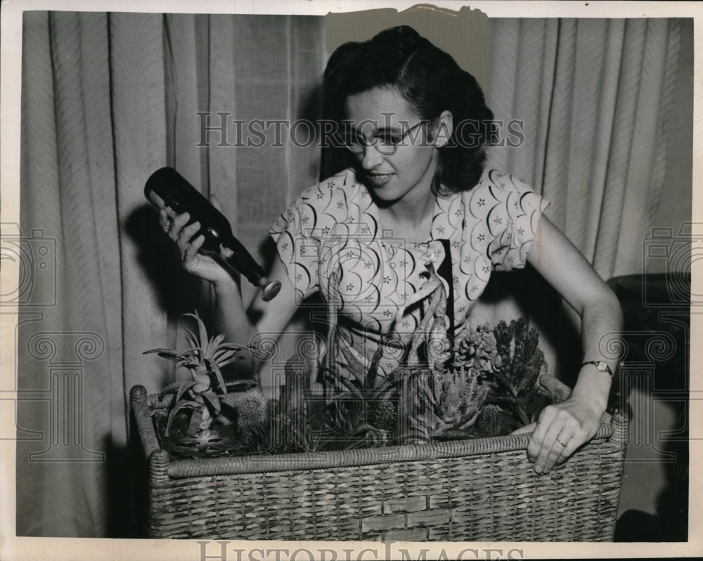 1949 Press Photo Mrs. Walter Madej Watering a Basket of Plants - Historic Images