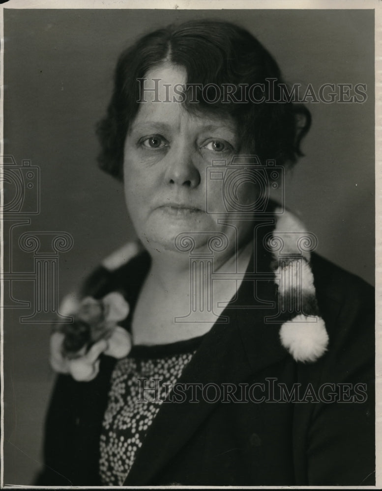 1927 Press Photo Mrs.John M.S., Republican Women of Ohio Women's Relief Corps. - Historic Images