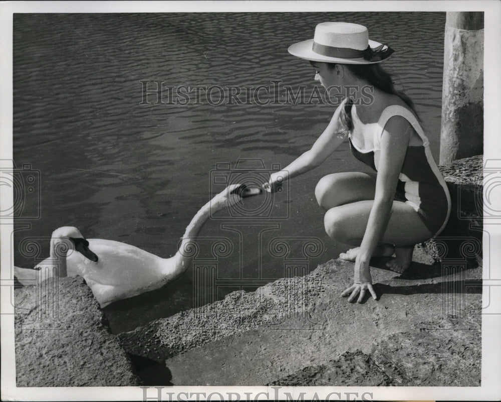 1959 Press Photo Miami, Fla. Dianne Green feeding swans at fashion show - Historic Images