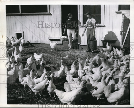 1942 Press Photo Ruth & Agnes Bridgeland Gather Eggs and Feed Hens on Farm - Historic Images