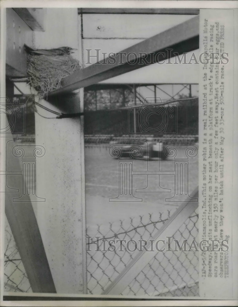 1962 Press Photo Robin&#39;s nest at the Indianapolis Motor Speedway - Historic Images