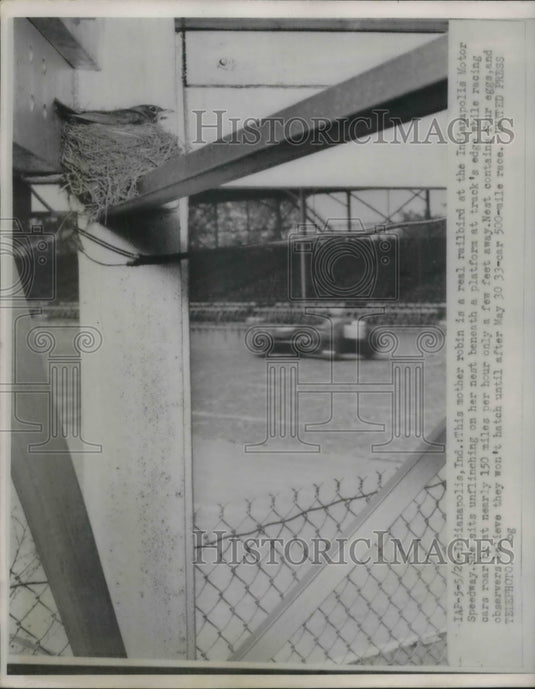 1962 Press Photo Robin's nest at the Indianapolis Motor Speedway - Historic Images