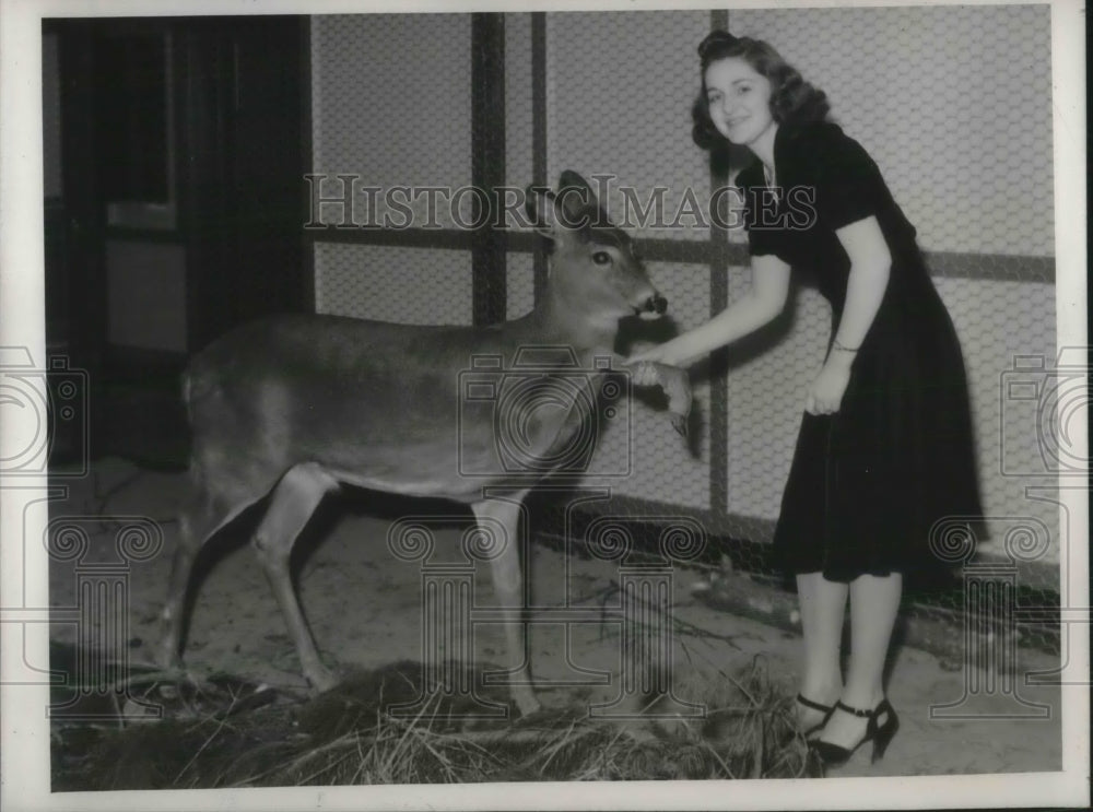 1940 Press Photo A deer is highlight of the Canadian &amp; American Sportsmen&#39;s show - Historic Images