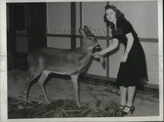 1940 Press Photo A deer is highlight of the Canadian & American Sportsmen's show - Historic Images