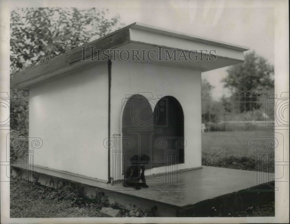 1953 Press Photo Scotch, a tiny 2-month-old puppy at the Ramsberger home in - Historic Images