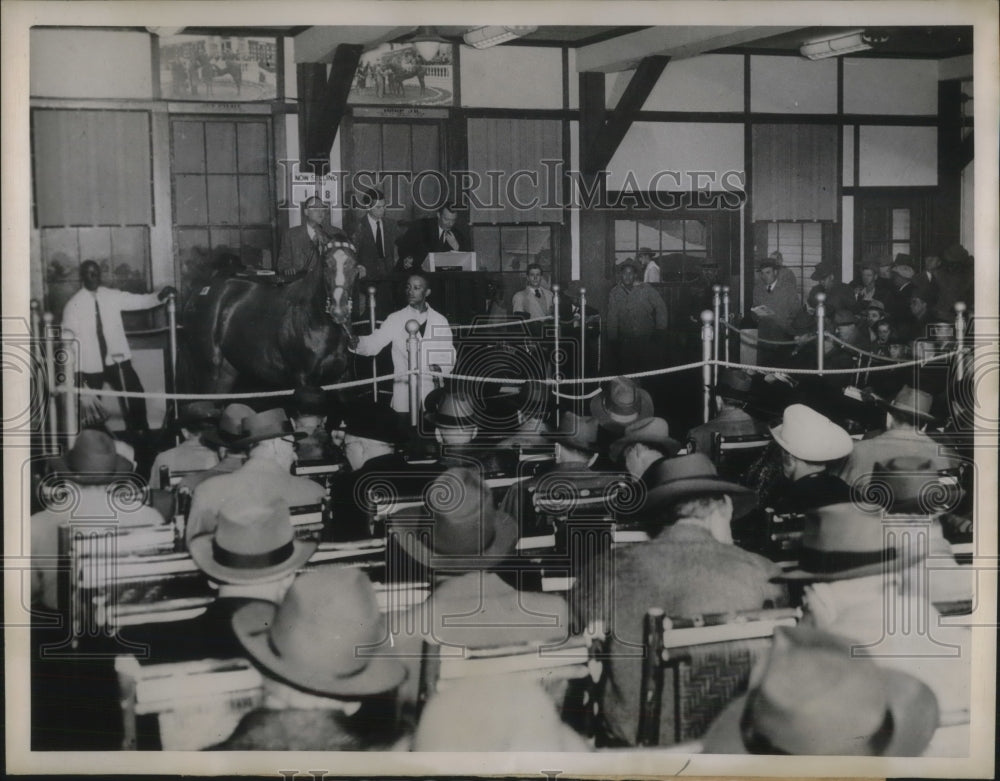 1947 International Horse Buyers view Chestnut Filly at Lexington N.Y - Historic Images