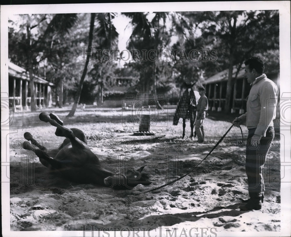 1953 Press Photo Fort Monmouth at the Hialeah Park Stables in Miami, Fla. - Historic Images