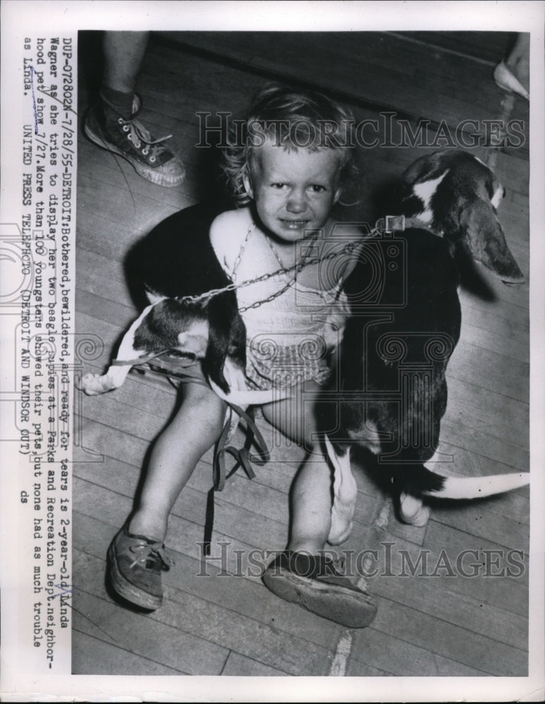 1955 Press Photo Linda Wagner has problems showing her 2 beagles at parks show - Historic Images