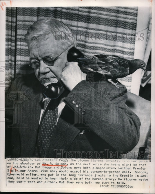 1950 Press Photo LA, Calif. Wm R Solons & his pet Peggy the pigeon - Historic Images