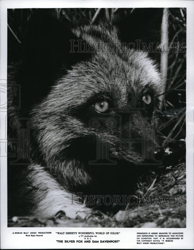1962 Press Photo NBC-TV Adventure Program &quot;The Silver Fox and Sam Davenport&quot;. - Historic Images