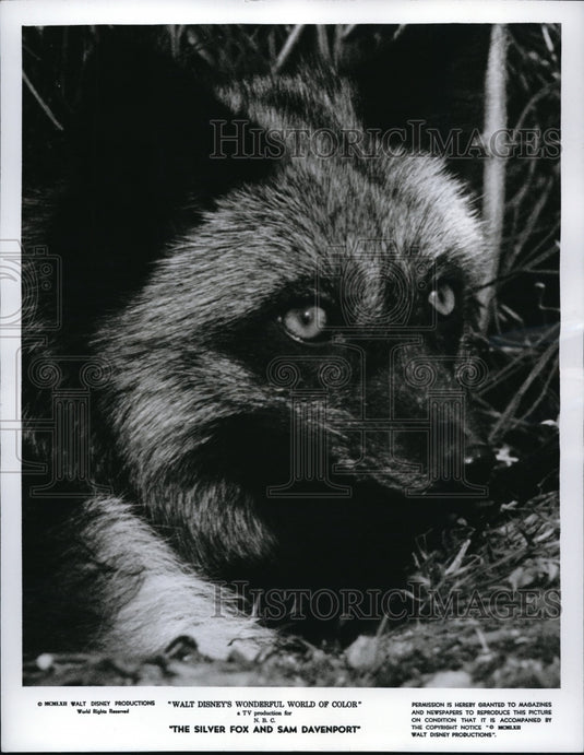 1962 Press Photo NBC-TV Adventure Program "The Silver Fox and Sam Davenport". - Historic Images