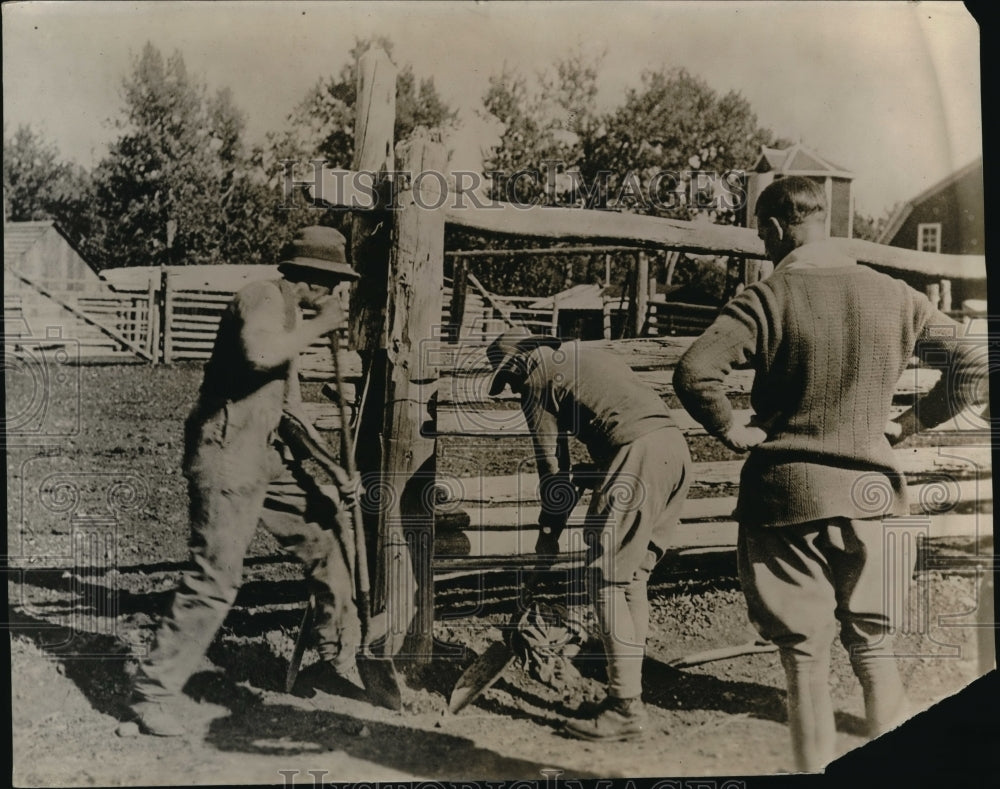 1924 Press Photo Prince of Wales on ranch in Alberta, Canada - Historic Images