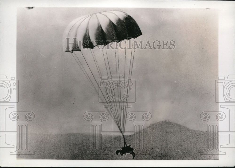 1937 Press Photo Italy Army Air Corp Mr Sheep - Historic Images