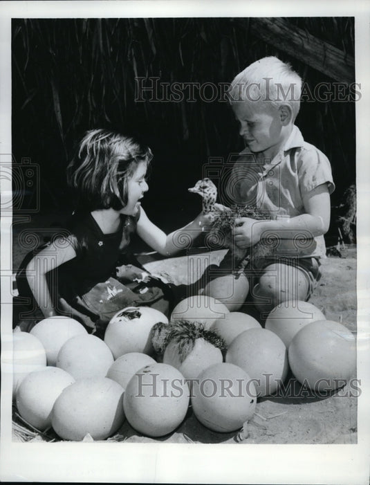1962 Press Photo Children Sit With Ostrich in South Africa - Historic Images