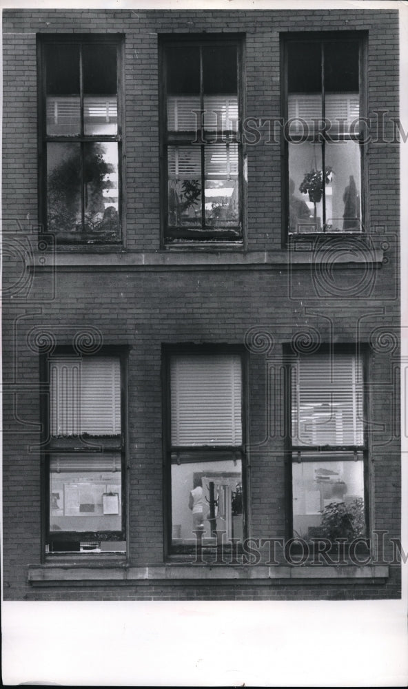 1976 Press Photo Plants in Windows of 5th &amp; 6th Floor of a Building - Historic Images