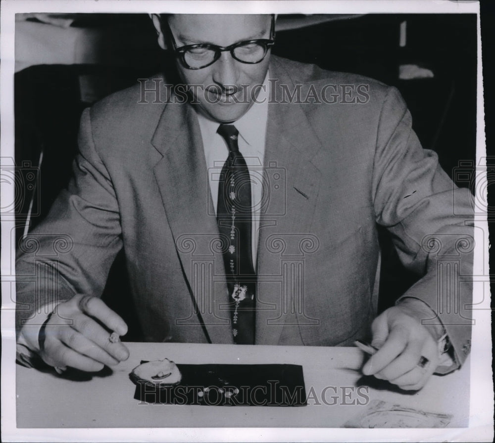 1954 Press Photo William C. Ungemach of Pittsburgh with pearls found in an Oyster Olean NY - Historic Images