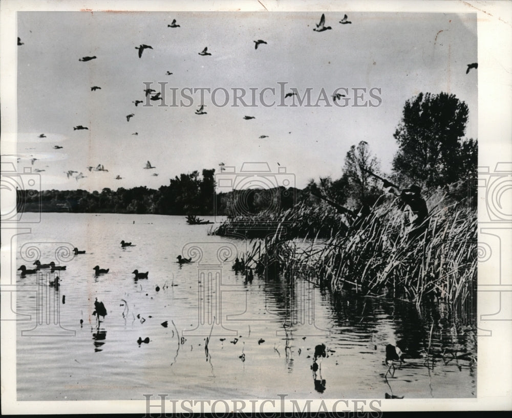 1941 Press Photo Illinois hunters on Rock River welcome flock of ducks - Historic Images