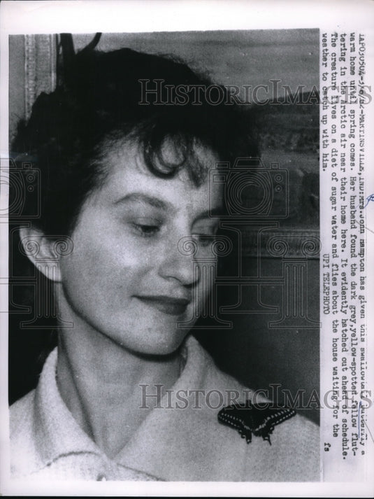 1962 Press Photo Mrs John Hampton Poses With Grey & Yellow Spotted Butterfly - Historic Images
