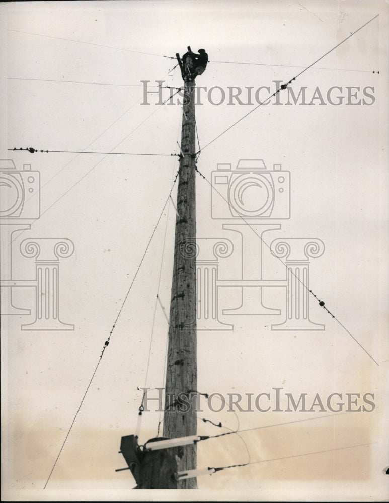 1940 Press Photo Sayville, NY antenna of New Trans-Atlantic Radio Station - Historic Images