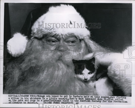 1965 Press Photo NYV Santa Claus with a kitten in his beard - Historic Images