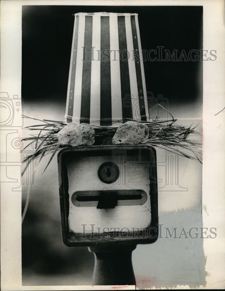 1975 Press Photo Denton, texas art face on Univ of Texas parking slot - Historic Images