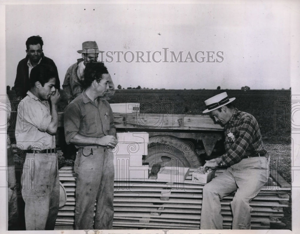 1945 Press Photo Mexican Farm Hands Freed After Immigration Arrest in Danville - Historic Images