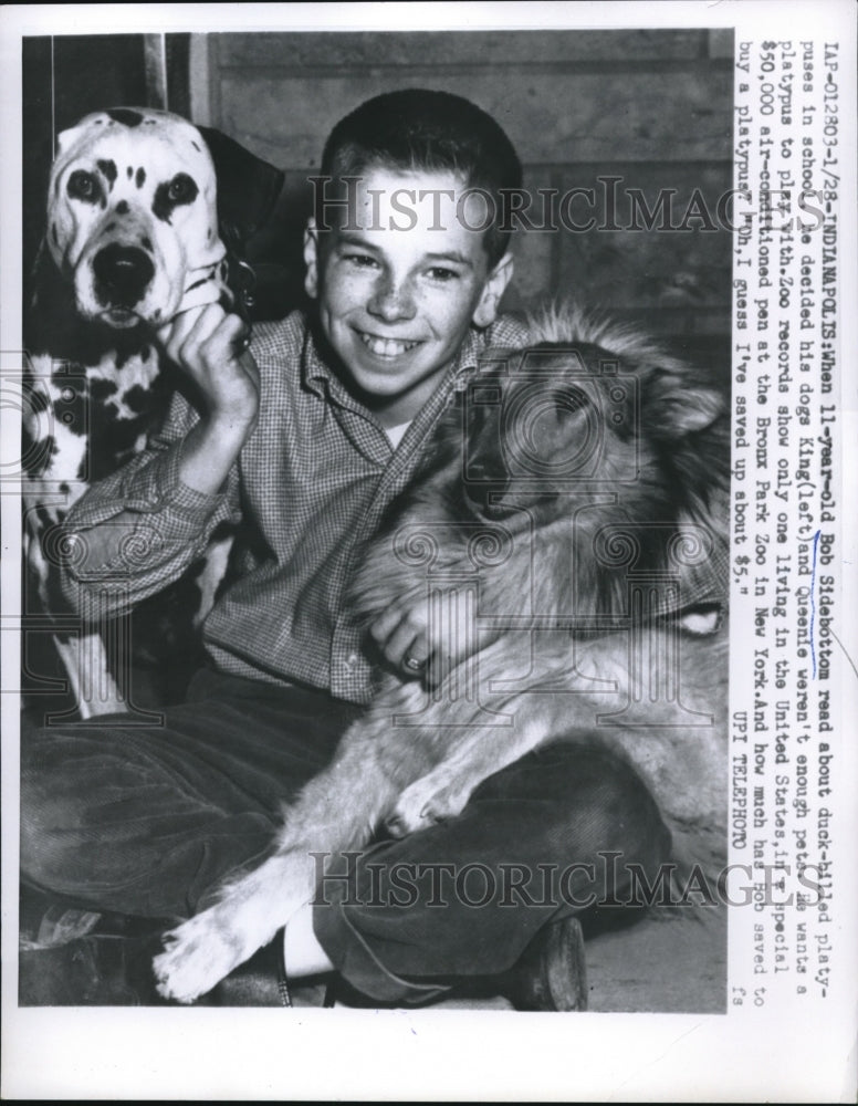 1959 Press Photo Bob Sidebottom desires platypus as pet, saved $5 to buy one - Historic Images