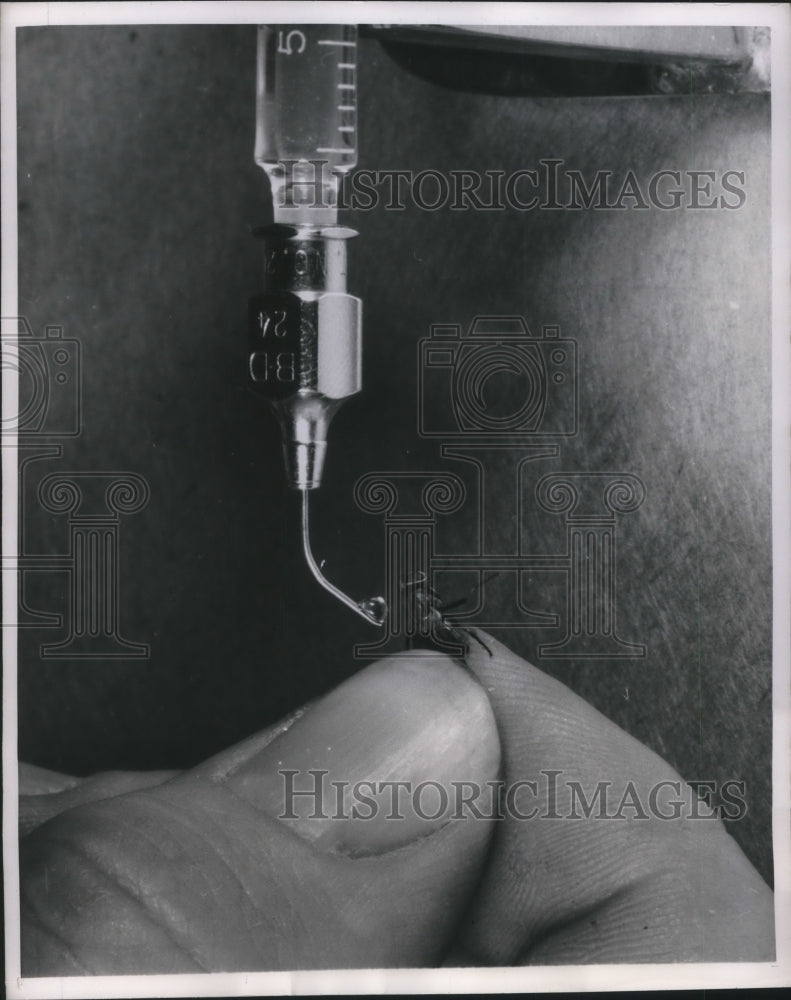 1951 Press Photo Droplet of Insecticide is Applied to Insect at Bruce Fly Farm - Historic Images