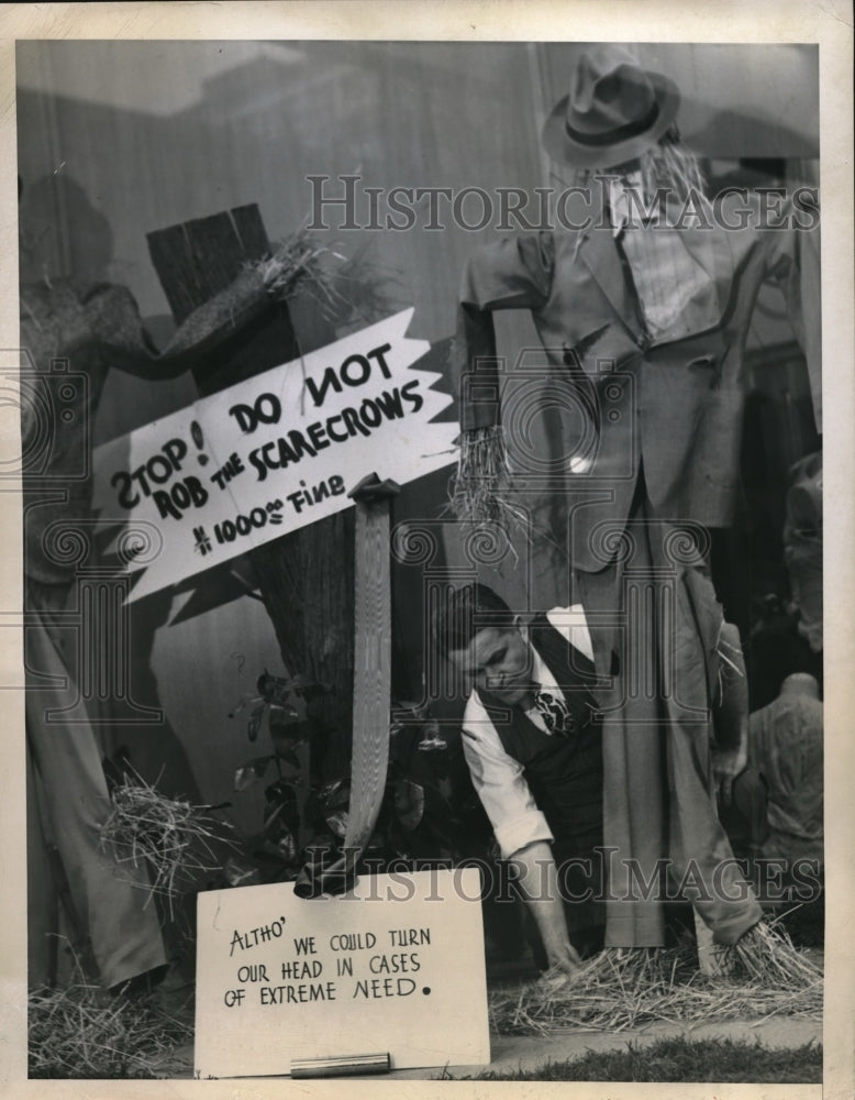 1946 Press Photo Display manager C D Wiley arranges scarecrows in Kansas City - Historic Images