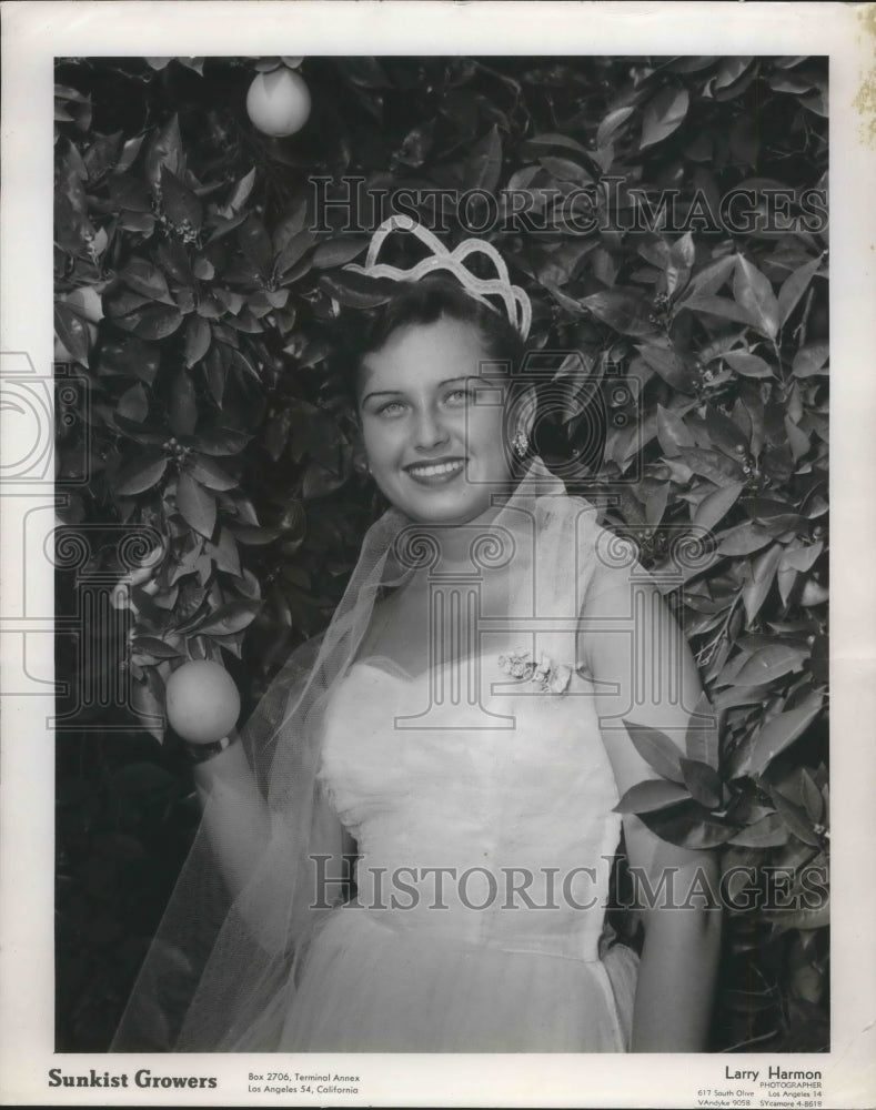 1959 Press Photo All States Queen Shirley Paur-Historic Images