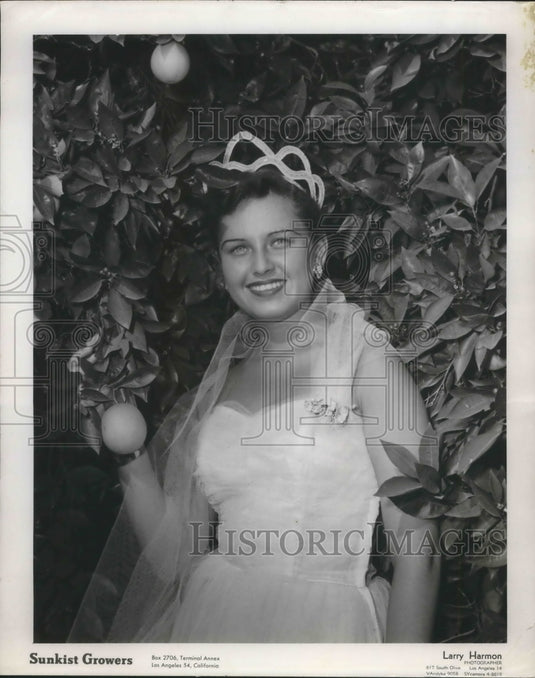 1959 Press Photo All States Queen Shirley Paur-Historic Images