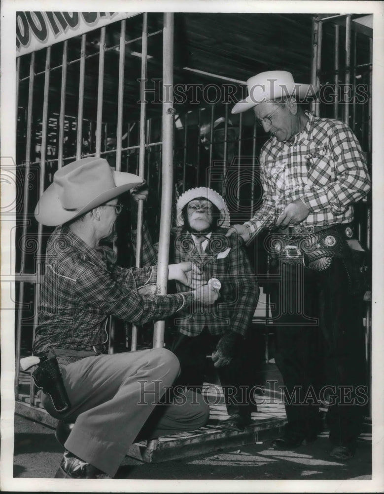 1953 Press Photo Chimpanzee Marquis, gets thrown in hoosegow in Las Vegas - Historic Images