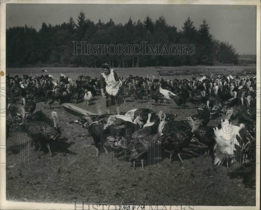 1944 Florence Lapietrre at her Canadian turkey farm - Historic Images