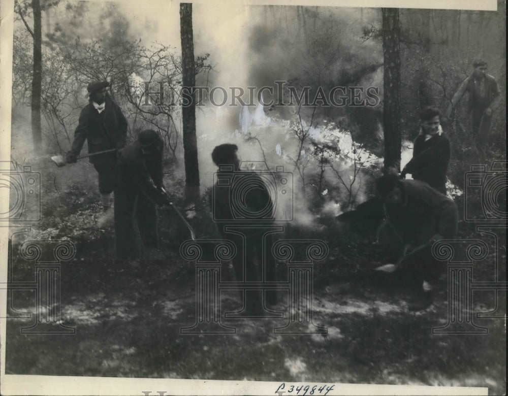 1936 Men Fighting a US Forest Fire - Historic Images