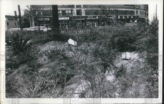 1973 Press Photo Park triangle - Historic Images