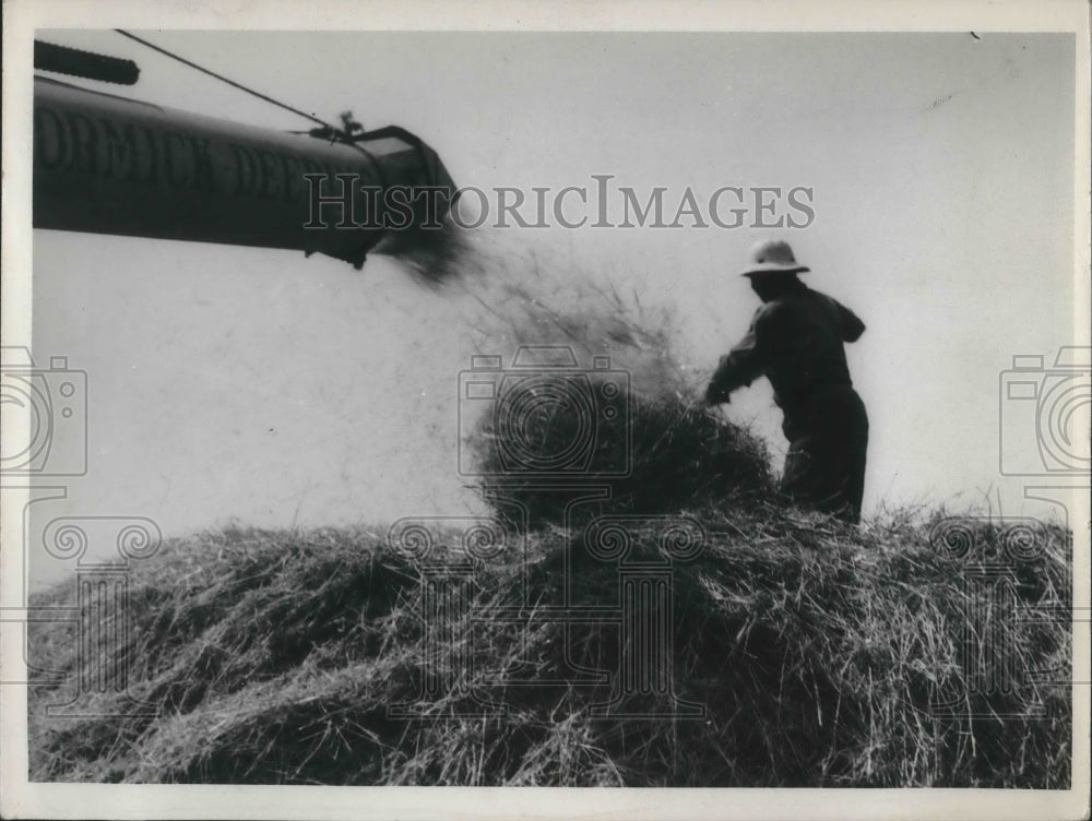 1937 Press Photo William Balsman harvesting hay - Historic Images