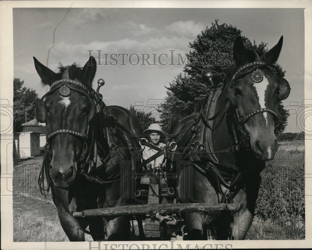 1939 Press Photo Marguerite Rider Behind Work Horses Plowing on her Farm-Historic Images